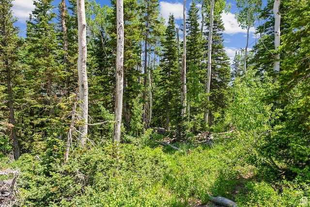 67 Red Cloud Trl Unit 23, Park City, UT 84060