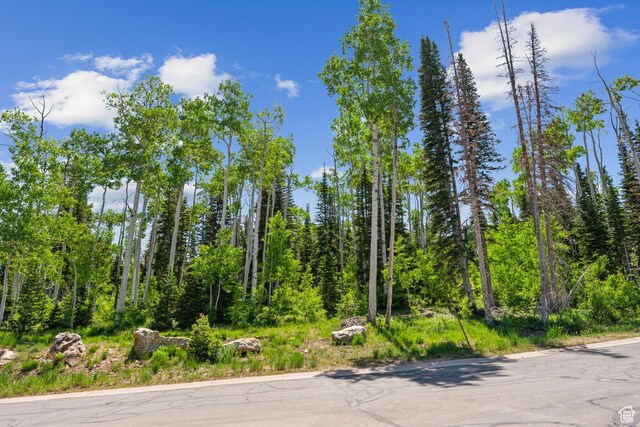 67 Red Cloud Trl Unit 23, Park City, UT 84060