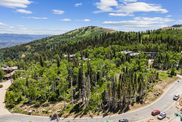 67 Red Cloud Trl Unit 23, Park City, UT 84060