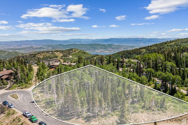 67 Red Cloud Trl Unit 23, Park City, UT 84060