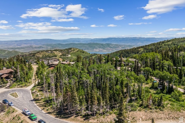 67 Red Cloud Trl Unit 23, Park City, UT 84060