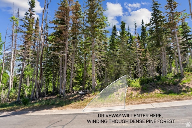 67 Red Cloud Trl Unit 23, Park City, UT 84060