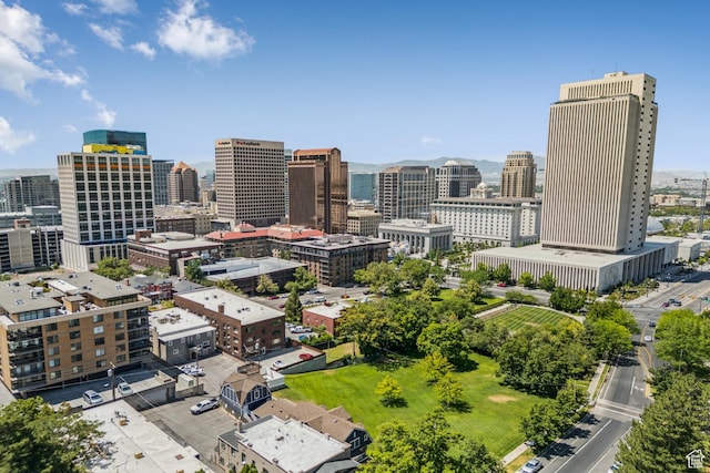 123 E 2nd Ave Unit 505, Salt Lake City, UT 84103 - skyline view