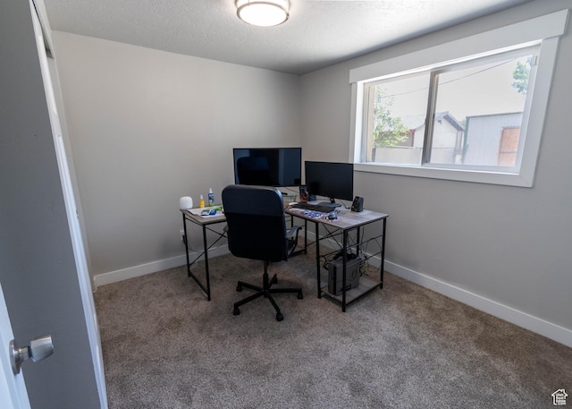 9446 S Barium St E, Sandy, UT 84094 - office area with carpet and a textured ceiling