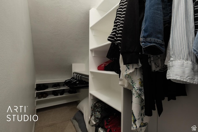 1183 N Canyon Meadow Dr E Unit 9, Provo, UT 84606 - spacious closet with carpet