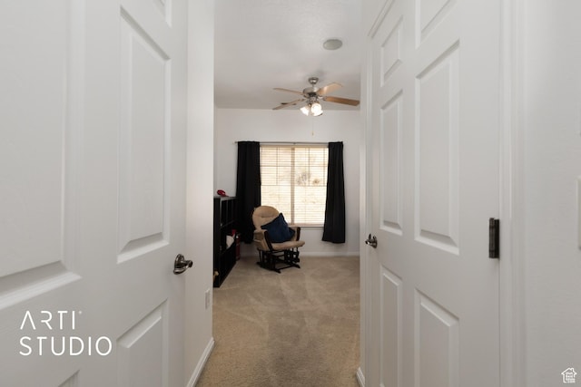 1183 N Canyon Meadow Dr E Unit 9, Provo, UT 84606 - hall with light colored carpet and baseboards