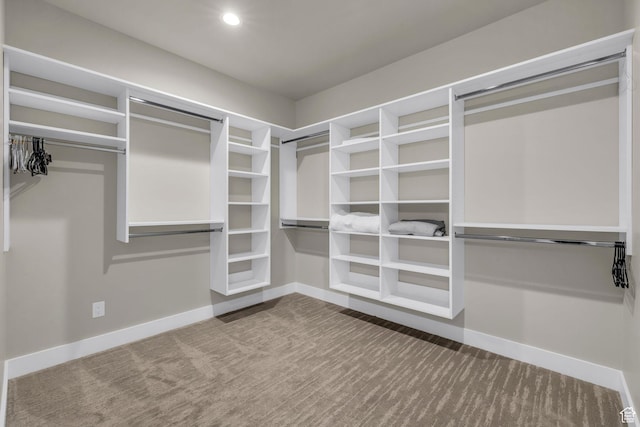 864 W Eland Cir, Heber City, UT 84032 - walk in closet featuring carpet