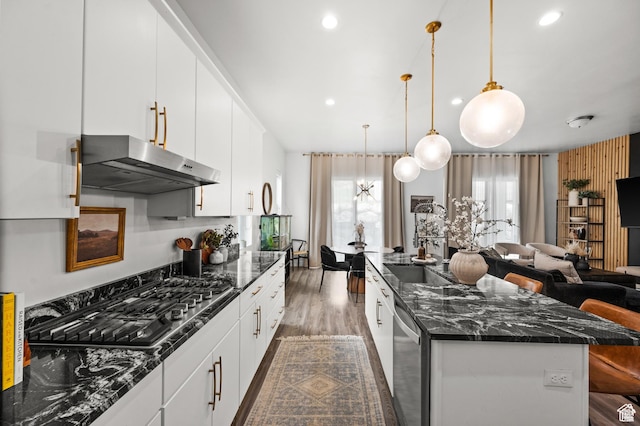 4753 W Mossley Dr, Herriman, UT 84096 - kitchen with under cabinet range hood, stainless steel appliances, a kitchen island, open floor plan, and recessed lighting
