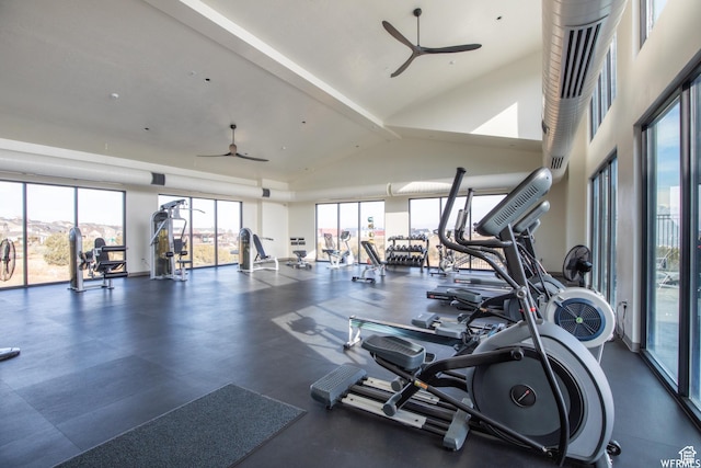 4753 W Mossley Dr, Herriman, UT 84096 - exercise room featuring a ceiling fan and vaulted ceiling