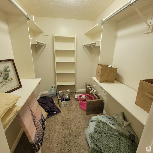 5272 S 1035 E, South Ogden, UT 84403 - spacious closet featuring carpet floors