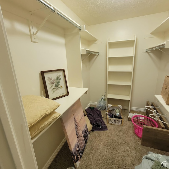 5272 S 1035 E, South Ogden, UT 84403 - walk in closet with carpet flooring