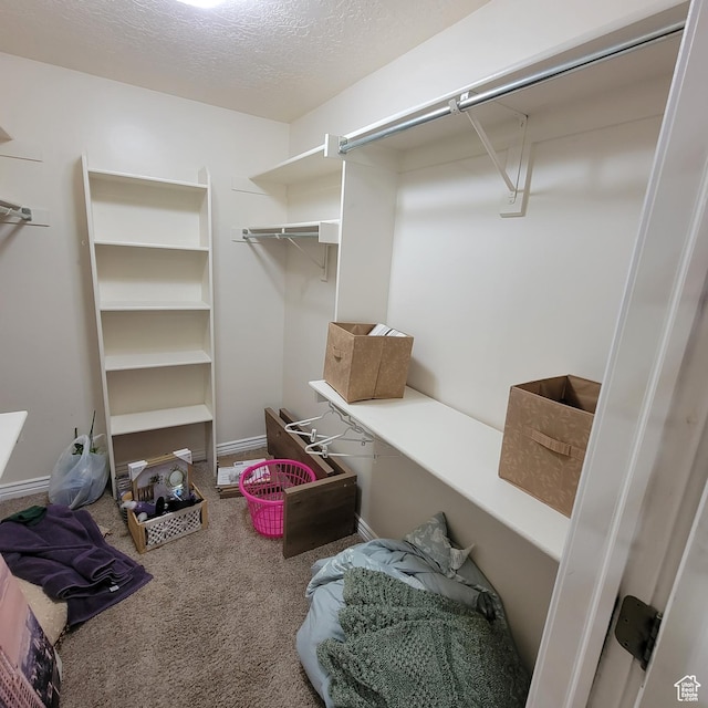 5272 S 1035 E, South Ogden, UT 84403 - spacious closet featuring carpet flooring