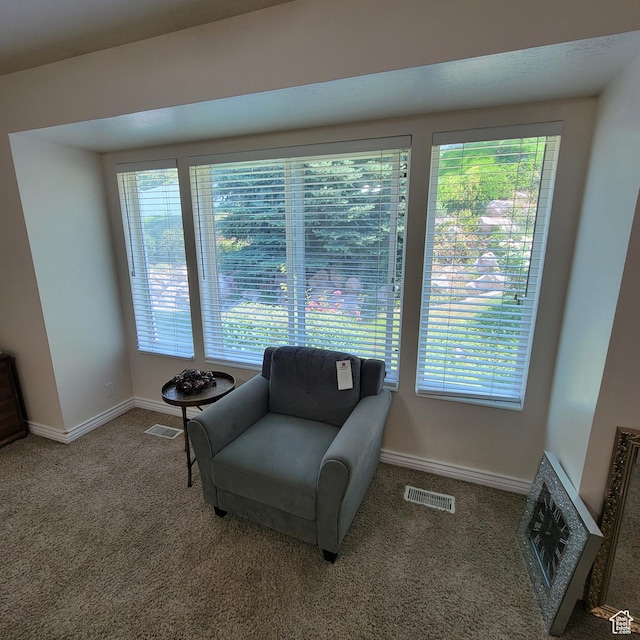 5272 S 1035 E, South Ogden, UT 84403 - sitting room featuring carpet flooring and baseboards