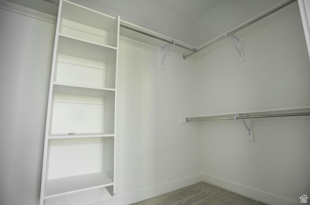 140 E Abbeville Ct, Sandy, UT 84070 - walk in closet featuring carpet