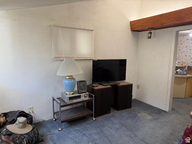 539 E Center St, Pleasant Grove, UT 84062 - living room with carpet