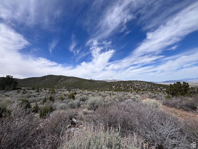 Rush Valley, UT 84069