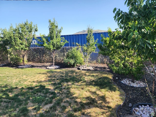 6319 W 13400 S, Herriman, UT 84096 - view of yard