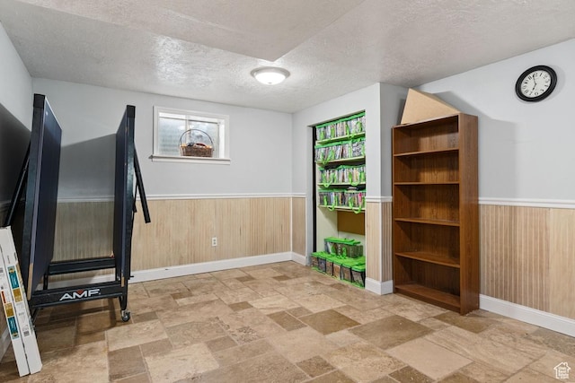 24725 N 11925 E, Fairview, UT 84629 - workout area featuring stone tile flooring, wainscoting, a textured ceiling, wood walls, and healthy amount of natural light