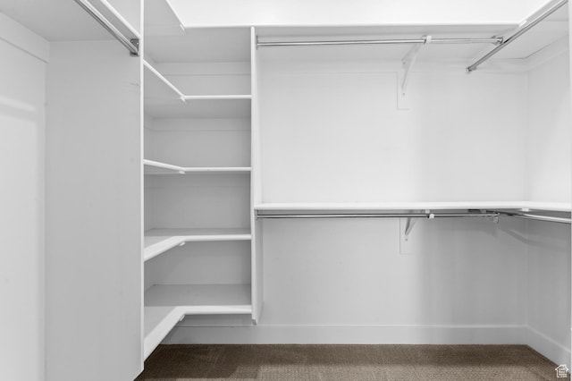 13703 S Blayde Dr, Herriman, UT 84096 - spacious closet with carpet flooring