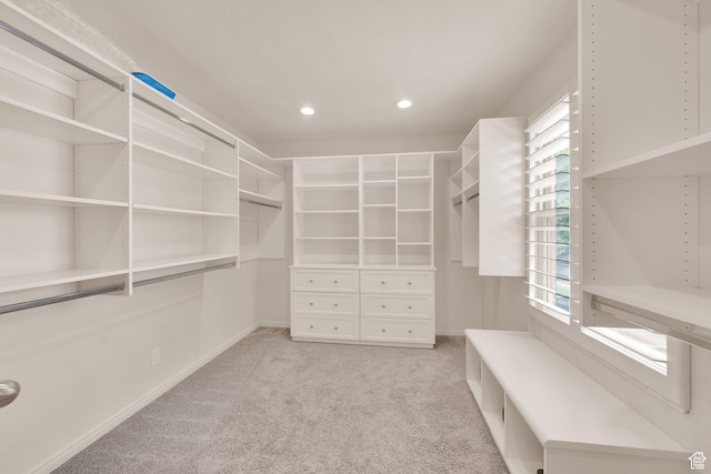 1604 W Roenewood Cir S, Taylorsville, UT 84123 - spacious closet featuring carpet
