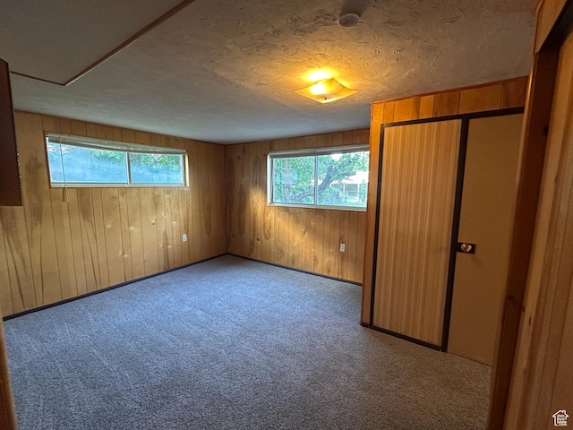 487 Highland Blvd, Brigham City, UT 84302 - unfurnished bedroom with multiple windows, carpet floors, and wooden walls