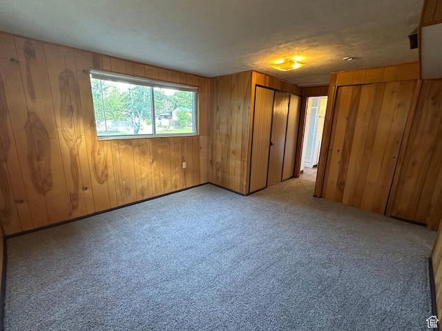 487 Highland Blvd, Brigham City, UT 84302 - unfurnished bedroom featuring wood walls, carpet flooring, and two closets