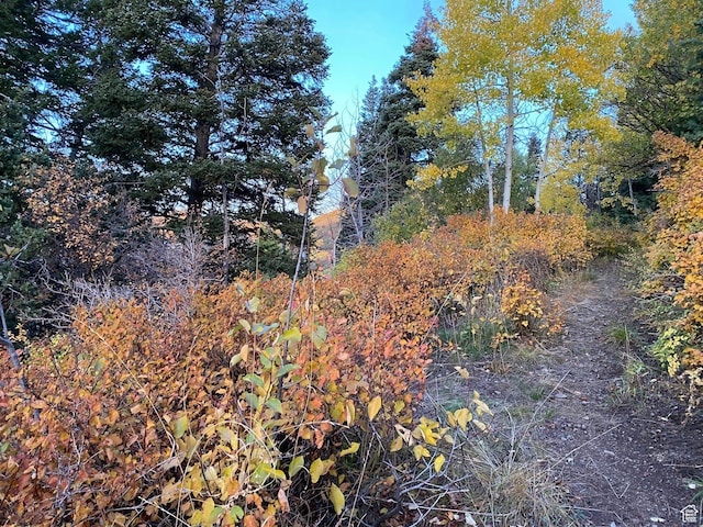 9607 E 2680 S Unit 9, Salt Lake City, UT 84109 - photo 11