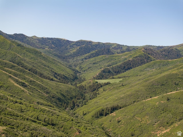 5155 E Canyon Rd, Morgan, UT 84050 - view of mountain backdrop featuring a forest