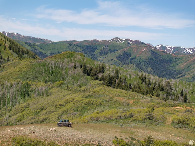 5155 E Canyon Rd, Morgan, UT 84050 - view of mountain background with a forest