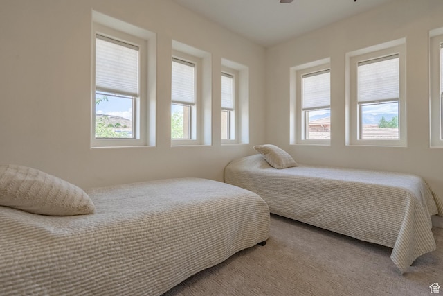 1578 N Liberty Greens Dr, Washington, UT 84780 - photo 29