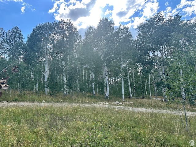 17899 S Snowbird Dr E Unit 30D, Spanish Fork, UT 84660