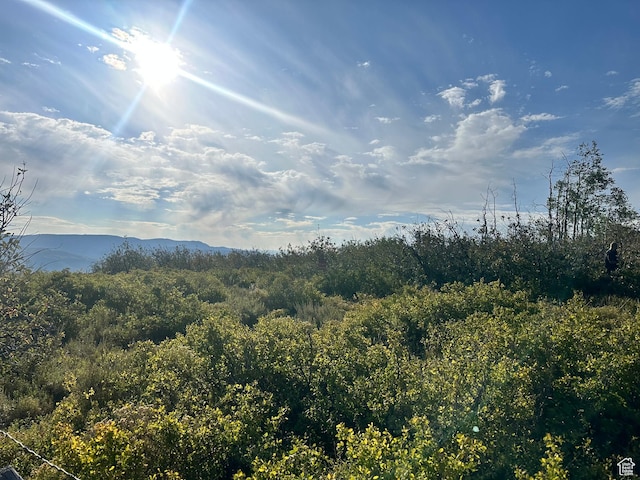 17899 S Snowbird Dr E Unit 30D, Spanish Fork, UT 84660