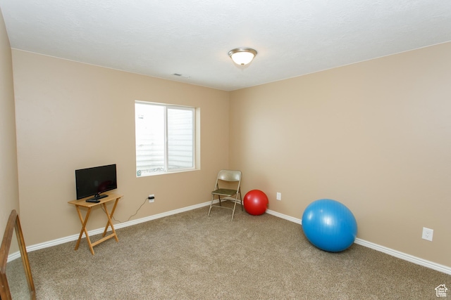 6628 N Malachite Way, Stansbury Park, UT 84074 - workout area featuring carpet and baseboards