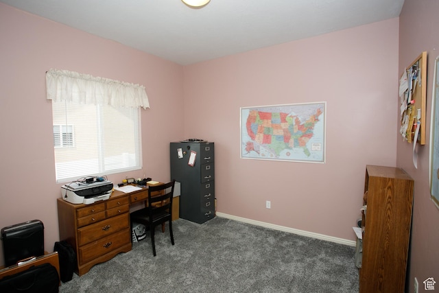 6628 N Malachite Way, Stansbury Park, UT 84074 - office space with carpet
