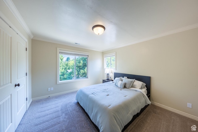 357 N Main St, Alpine, UT 84004 - carpeted bedroom with baseboards and crown molding