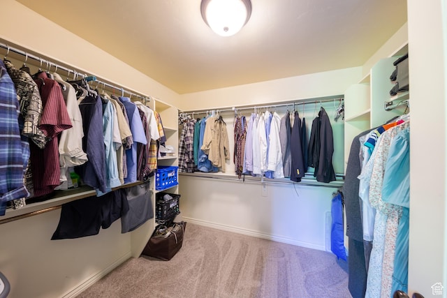 357 N Main St, Alpine, UT 84004 - walk in closet with carpet flooring