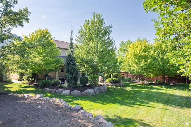 357 N Main St, Alpine, UT 84004 - view of yard
