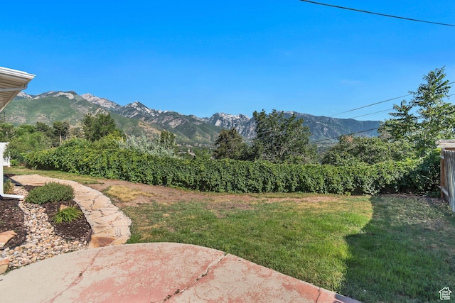 2570 E Dolphin Way S, Cottonwood Heights, UT 84121 - photo 29