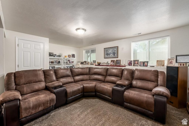 208 Alfred Dr, Tooele, UT 84074 - living room featuring carpet floors, plenty of natural light, and a textured ceiling