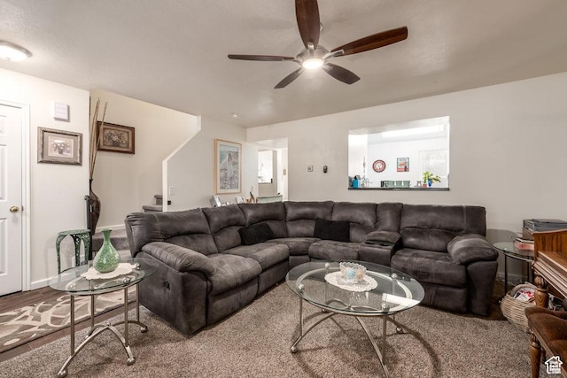 208 Alfred Dr, Tooele, UT 84074 - living area with ceiling fan