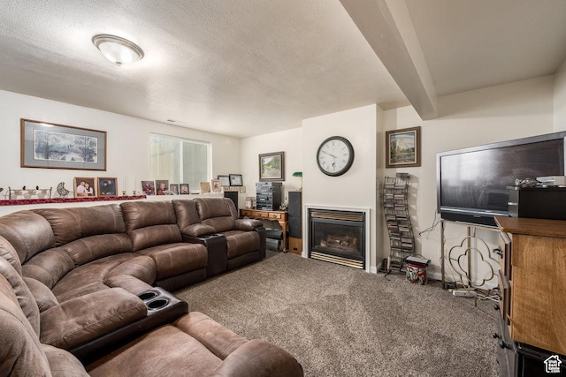 208 Alfred Dr, Tooele, UT 84074 - carpeted living room featuring a textured ceiling