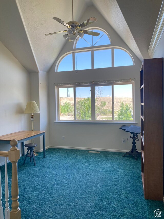 190 E 600 N, Ferron, UT 84523 - office with lofted ceiling, carpet, a ceiling fan, and a textured ceiling