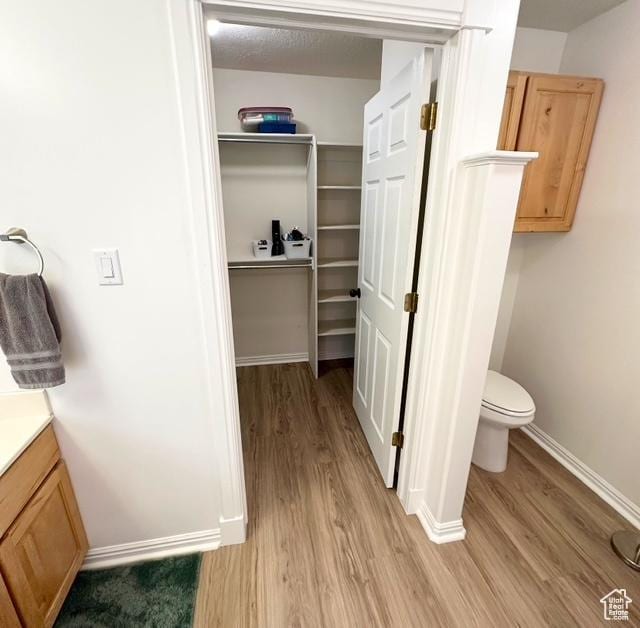 190 E 600 N, Ferron, UT 84523 - bathroom featuring wood finished floors, vanity, and a spacious closet
