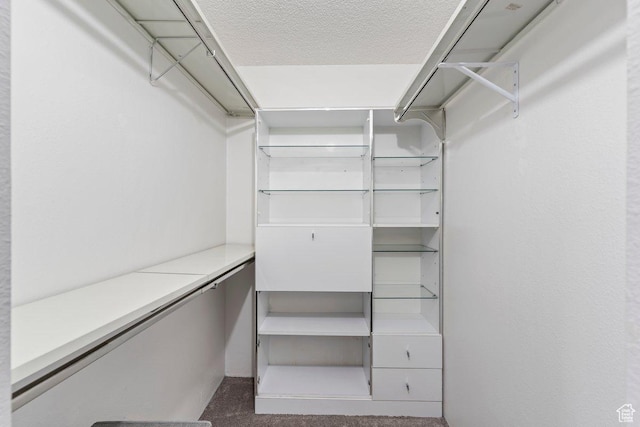 241 N Vine St Unit 506W, Salt Lake City, UT 84103 - view of walk in closet