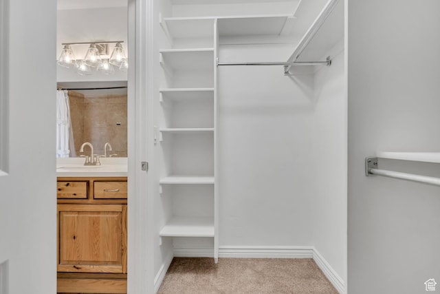 2725 S 700 E Unit O, Salt Lake City, UT 84106 - walk in closet featuring carpet flooring and a sink