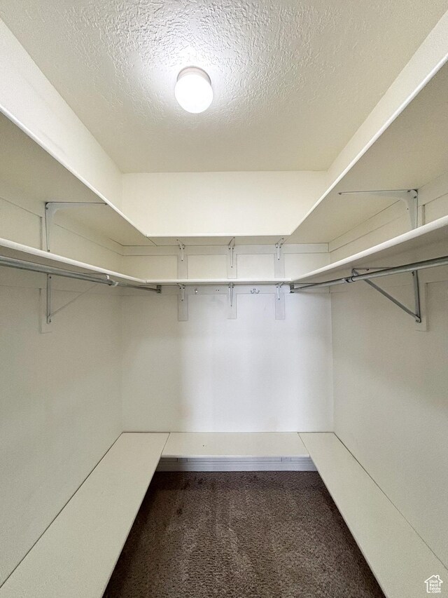 480 N 550 W, Huntington, UT 84528 - spacious closet featuring dark carpet