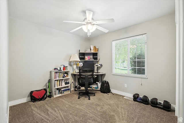 439 Meadow Ln, Providence, UT 84332 - photo 20