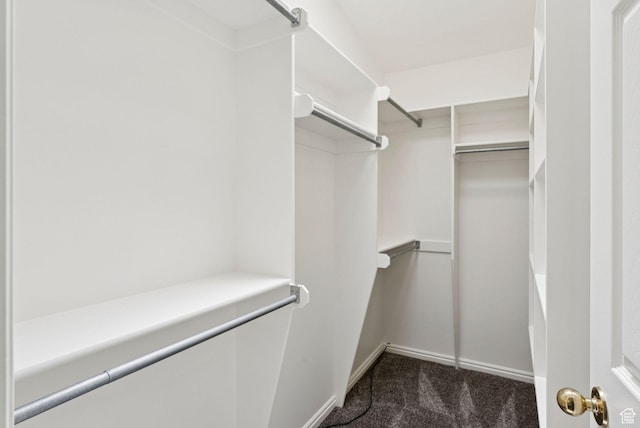 2198 N 1600 E, Layton, UT 84040 - walk in closet featuring dark colored carpet