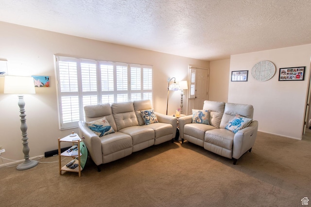 1471 W Stern Dr S, Taylorsville, UT 84123 - carpeted living room with plenty of natural light and a textured ceiling