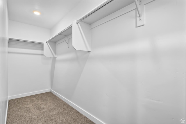 554 W 1870 S Unit 1194, Provo, UT 84601 - spacious closet with carpet